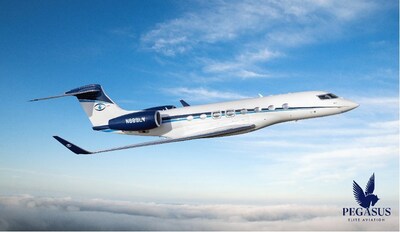 飛馬精英航空 飛馬精英航空